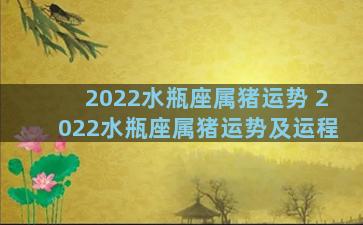 2022水瓶座属猪运势 2022水瓶座属猪运势及运程